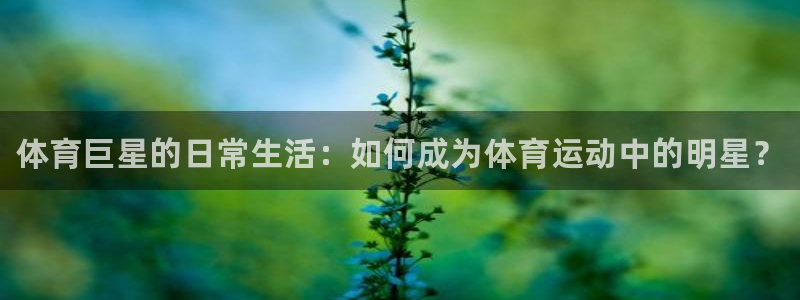 尊龙官方正版app集团简介：体育巨星的日常生活：如何