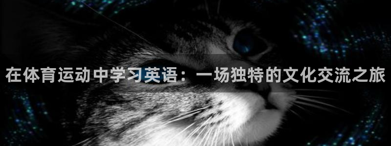 尊龙官网下载平台假的吗是真的吗：在体育运动中学习英语