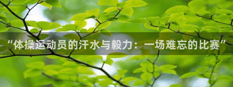 尊龙官方正版app娱乐首页网站大全：“体操运动员的汗