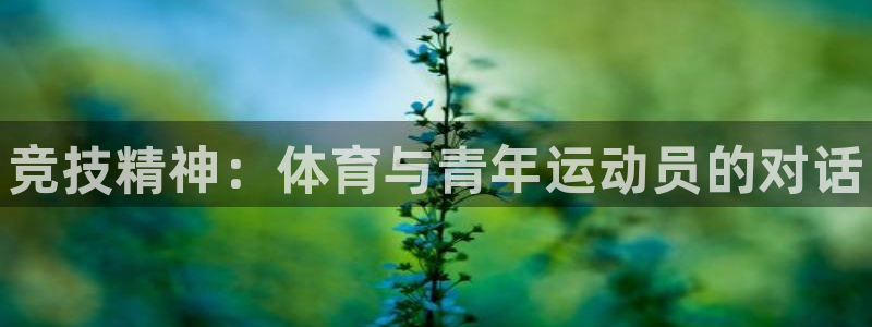 尊龙官网下载平台注册流程图：竞技精神：体育与青年运动