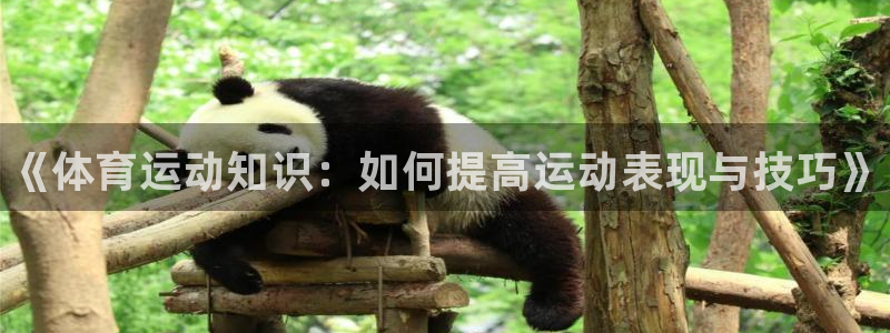 尊龙官网下载平台是正规平台吗：《体育运动知识：如何提高运动表
