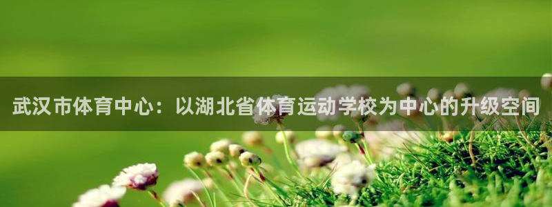 尊龙官方平台体育：武汉市体育中心：以湖北省体育运动学校为中心