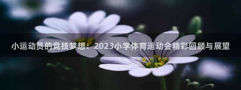 尊龙官方正版app科技：小运动员的竞技梦想：2023小学体育