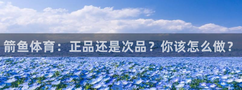尊龙官方正版app开户：箭鱼体育：正品还是次品？你该怎么做？