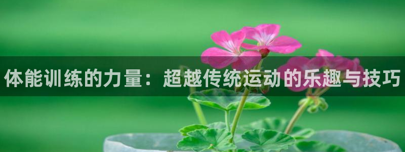 尊龙官网下载平台是正规平台吗安全吗：体能训练的力量：