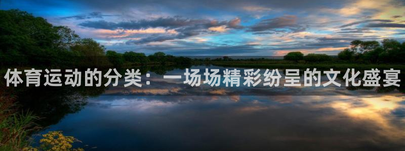 尊龙官方正版app新能源：体育运动的分类：一场场精彩