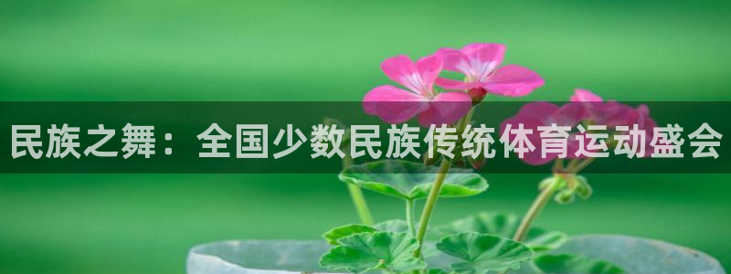 尊龙官方正版app娱乐平台：民族之舞：全国少数民族传