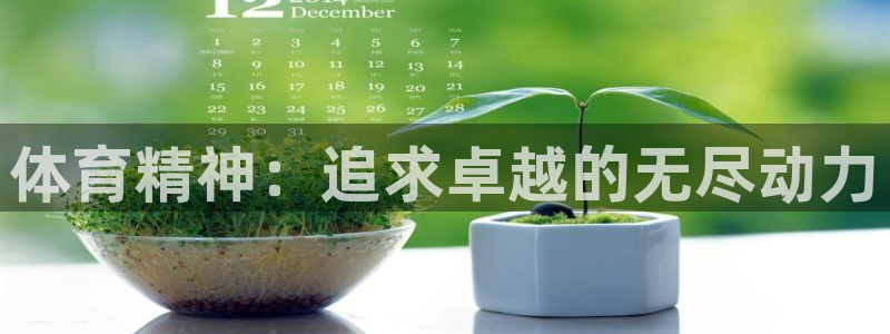 尊龙官方正版app代理：体育精神：追求卓越的无尽动力