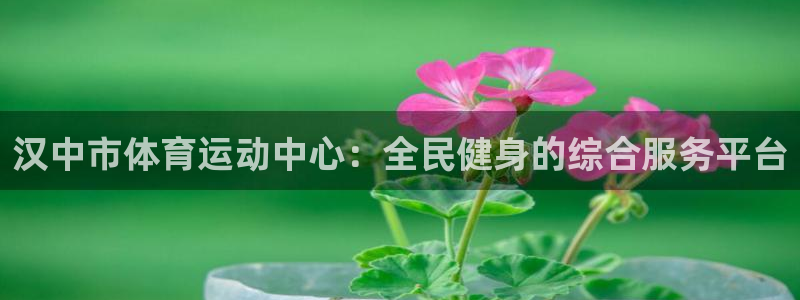 尊龙官方正版app科技：汉中市体育运动中心：全民健身