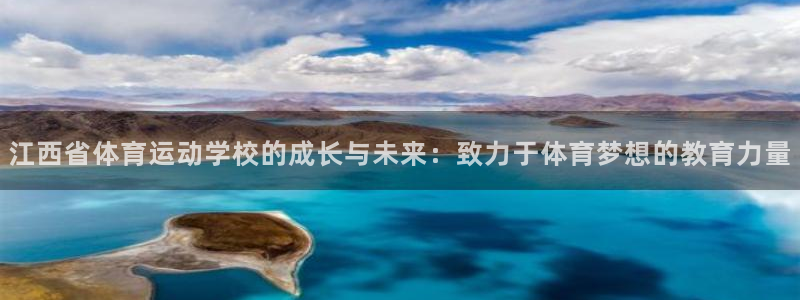 尊龙官网下载是干嘛的公司：江西省体育运动学校的成长与