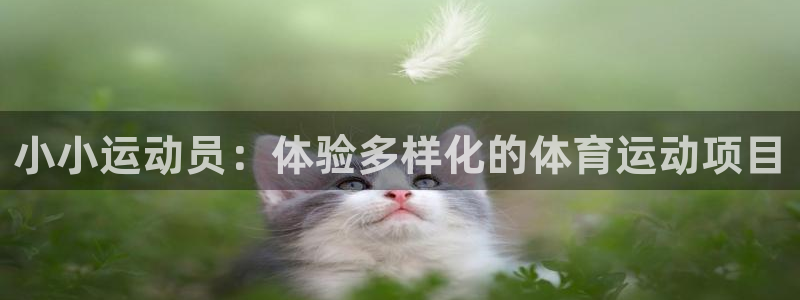 尊龙官网下载招商电话是多少号码：小小运动员：体验多样