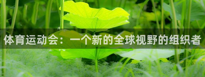尊龙官方正版app娱乐首页网站大全：体育运动会：一个