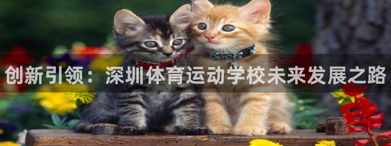 尊龙官网下载招商电话是多少号码：创新引领：深圳体育运动学校未
