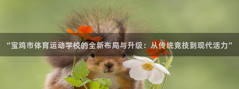 尊龙官网下载招商电话号码是多少啊：“宝鸡市体育运动学校的全新