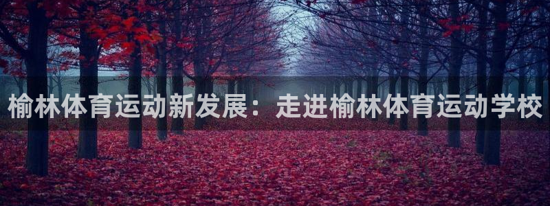 尊龙官网下载招商电话号码：榆林体育运动新发展：走进榆林体育运